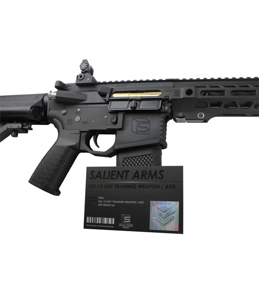 Fellowes / EMG 本体 Salient Arms Licensed GRY M4 AEG SBR BK